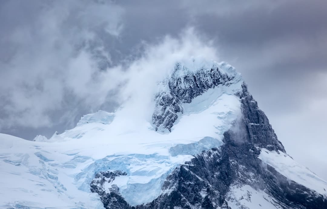 https://img2.utuku.imgcdc.com/650x0/news/20250905/99c77cf4-7cc3-4d34-a55e-c3dcaf1d61a9.jpg